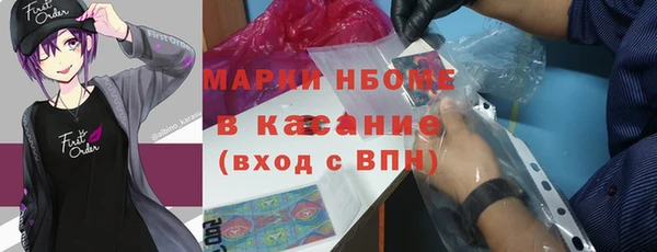 шишки Киренск