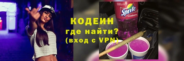 шишки Киренск
