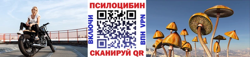 Купить  Сертолово  Галлюциногенные грибы Cubensis 